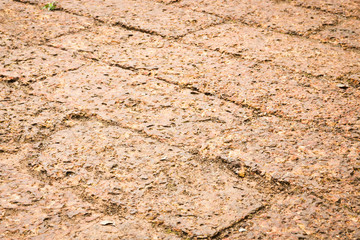 Dry laterite floor texture background
