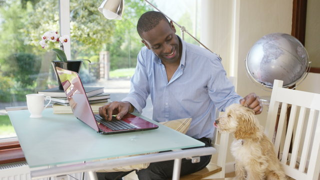  Man working on laptop computer at home with cute puppy sitting beside him. 