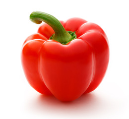 Single red paprika