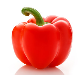 Single red paprika