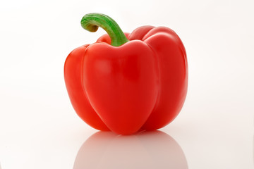 Single red paprika