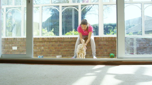 Woman relaxing at home with 2 playful young cocker-poo puppies. 