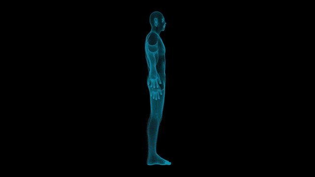 Hologram Human Loop. A man's silhouette hologram, seamless loop ratation.