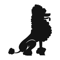 Circus poodle simple illustration