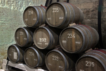The cellars of the winery