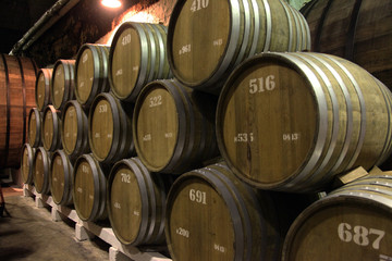 The cellars of the winery