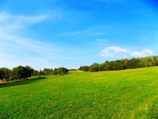 Meadow, forest and sky