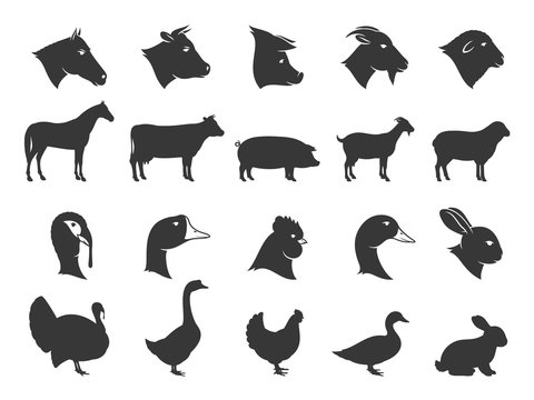 Farm Animals Silhouettes and Icons
