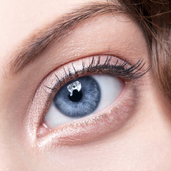 Obraz premium female eye zone and brows with day makeup