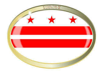 Washington DC Flag Oval Button