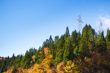Power line and grid on the mountain