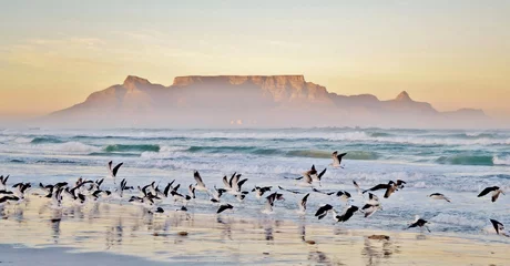 Keuken foto achterwand Tafelberg Glorierijke ochtend