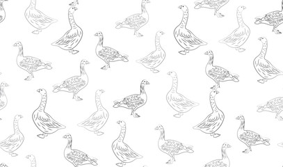 Vector abstract seamless background of geese. Chaotic geese.