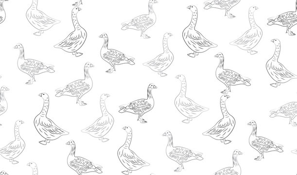 Vector abstract seamless background of geese. Chaotic geese.