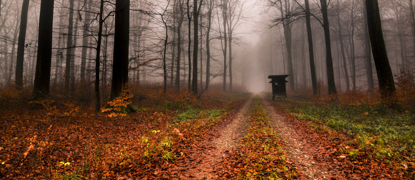 Fototapeta Jäger im Wald