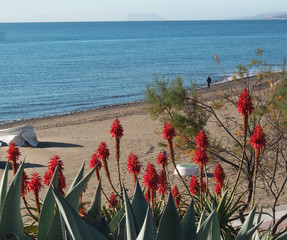 Espagne. Plage à Estapona.