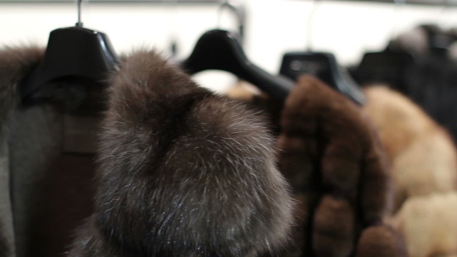 Mink coats hanging in the shop window.