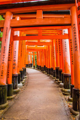 Red Torii gate of Fushimi Inari Shrine kyoto japan