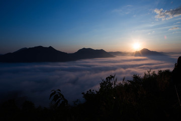 sea of mist at phu tok ,cheang kan lei ,Thai land