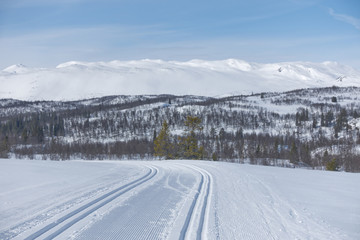 Winter landscape, ski trails in the mountain