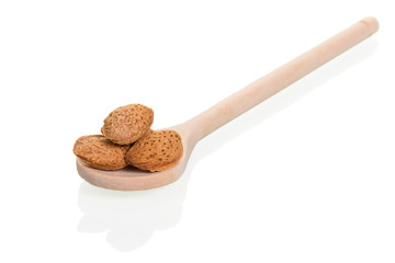 Nuts in wooden spoon