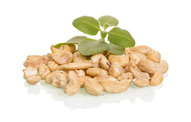 Tasty cashew nuts with leaves