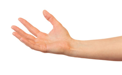 Female hand isolated