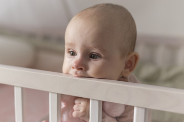 first teeth grow a baby