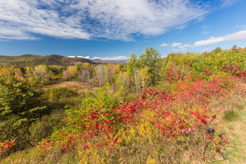 Colorful White mountain National forest in autumn, New  Hampshir