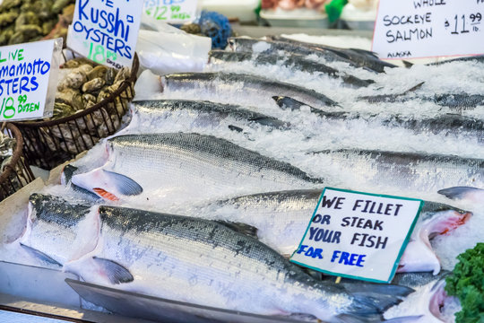 Fresh Whole Sockeye Salmons In Pike Place Market