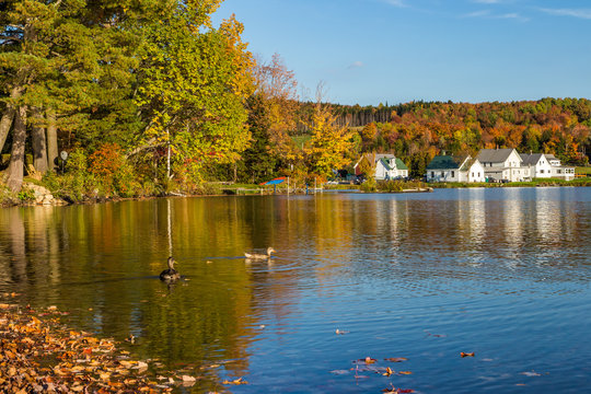 Beautiful autumn foliage in Elmore state park in Vermont