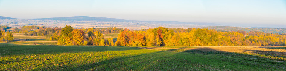 Meadows and woods in vivid autumn colors