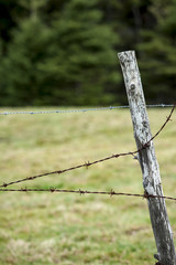 Fototapeta premium Barbed wire fence