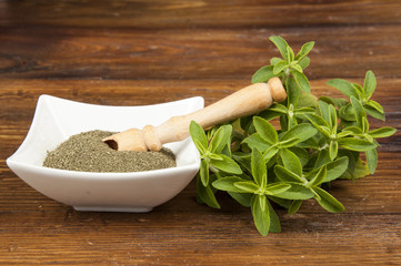 green leaves, dried leaves and powder of stevia