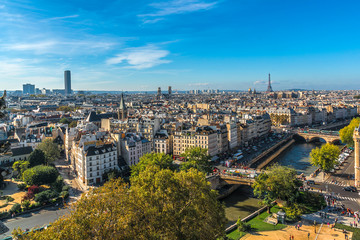 Fototapeta premium Paris Panorama. View from Cathedral Notre Dame de Paris. France.