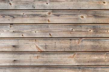 Weathered larch wooden planks on the building facade with blue stain and mold