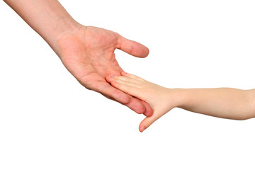 a father  holds the hand of a small child on a white  background