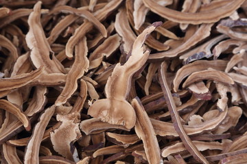 dried lingzhi mushroom