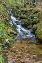 ruisseau des Vosges