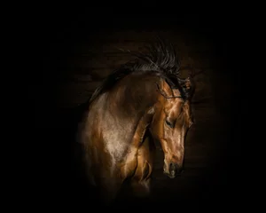 Keuken spatwand met foto portret van het bruine boze paard © ashva