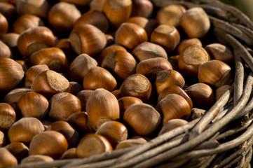 Hazelnuts