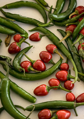 Chiles Nanchi, de arbol y serrano