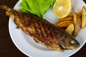 Grilled trout