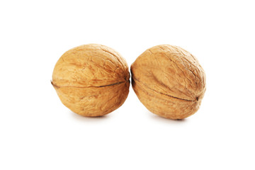Walnut isolated on a white background