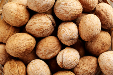 Walnut isolated on a white background