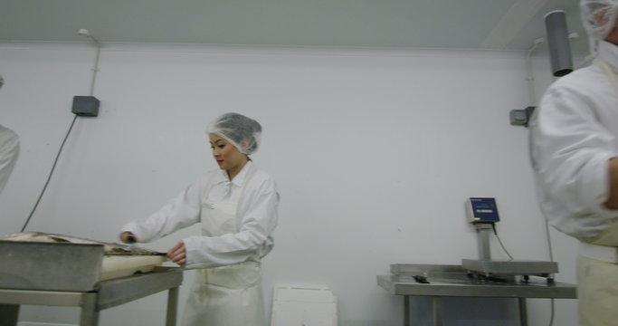 Workers in a seafood processing factory preparing fresh fish for sale