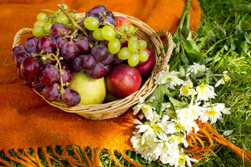 Корзинка с фруктами и виноградом на рыжем пледе и букет ромашек на траве