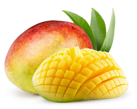 mangoes isolated on the white background