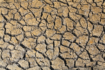 yellow cracked soil.