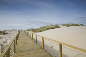 Obraz premium the beach